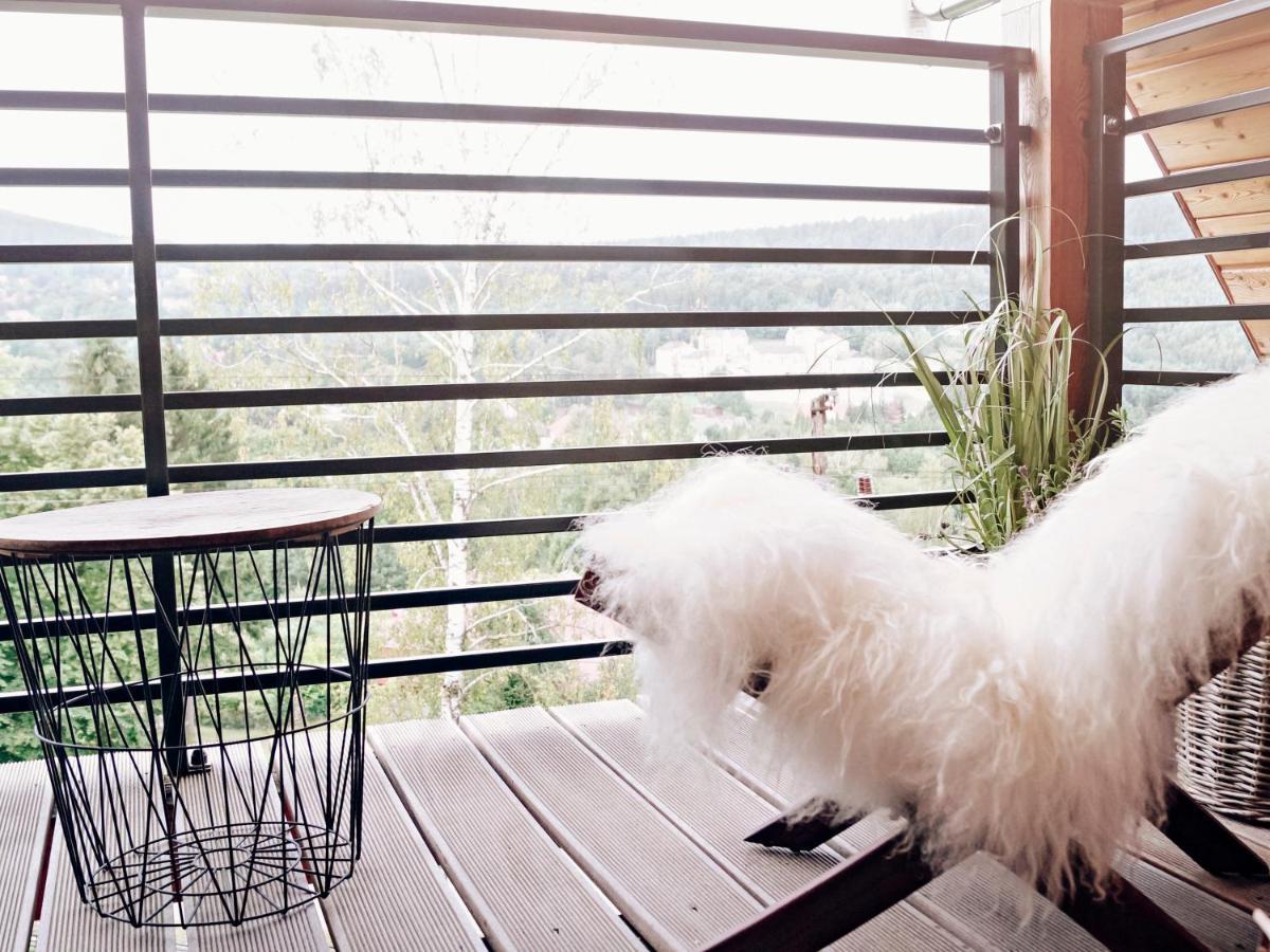 Zimowy Domek Boutique Rooms - Adults Only Vege Swieradow-Zdroj Exterior foto